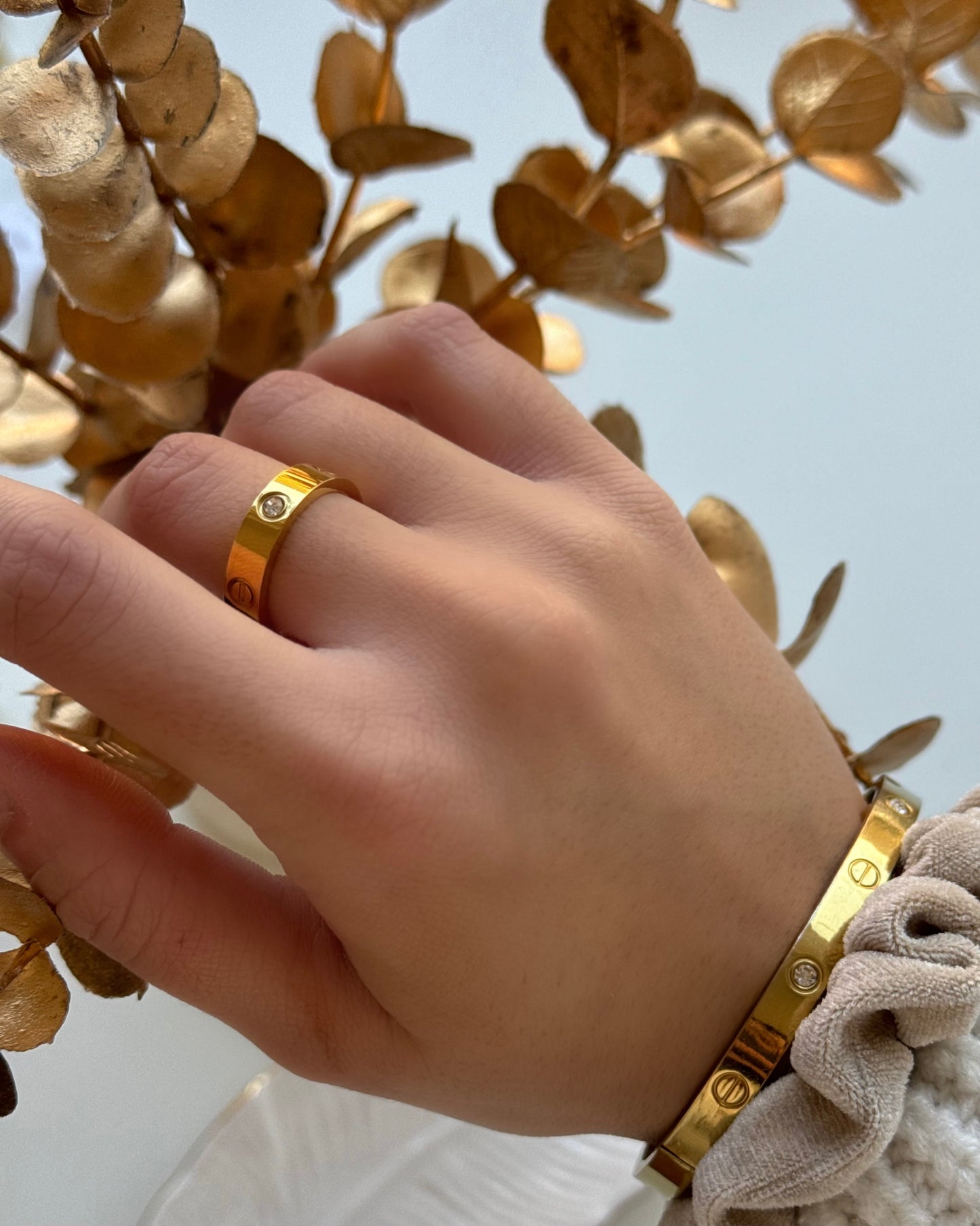 BAGUE JANA