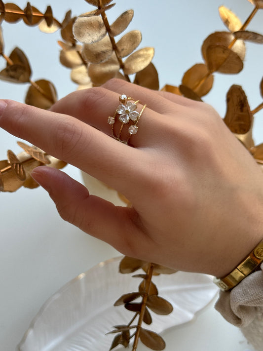 BAGUE MUSA
